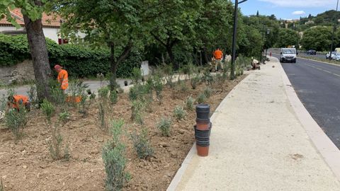 Pour mieux travailler la cible de la clientèle privée des espaces verts, en croissance, l’Association ALPE veut rassembler des entreprises prêtes à mutualiser leurs moyens. ©P. Fayolle